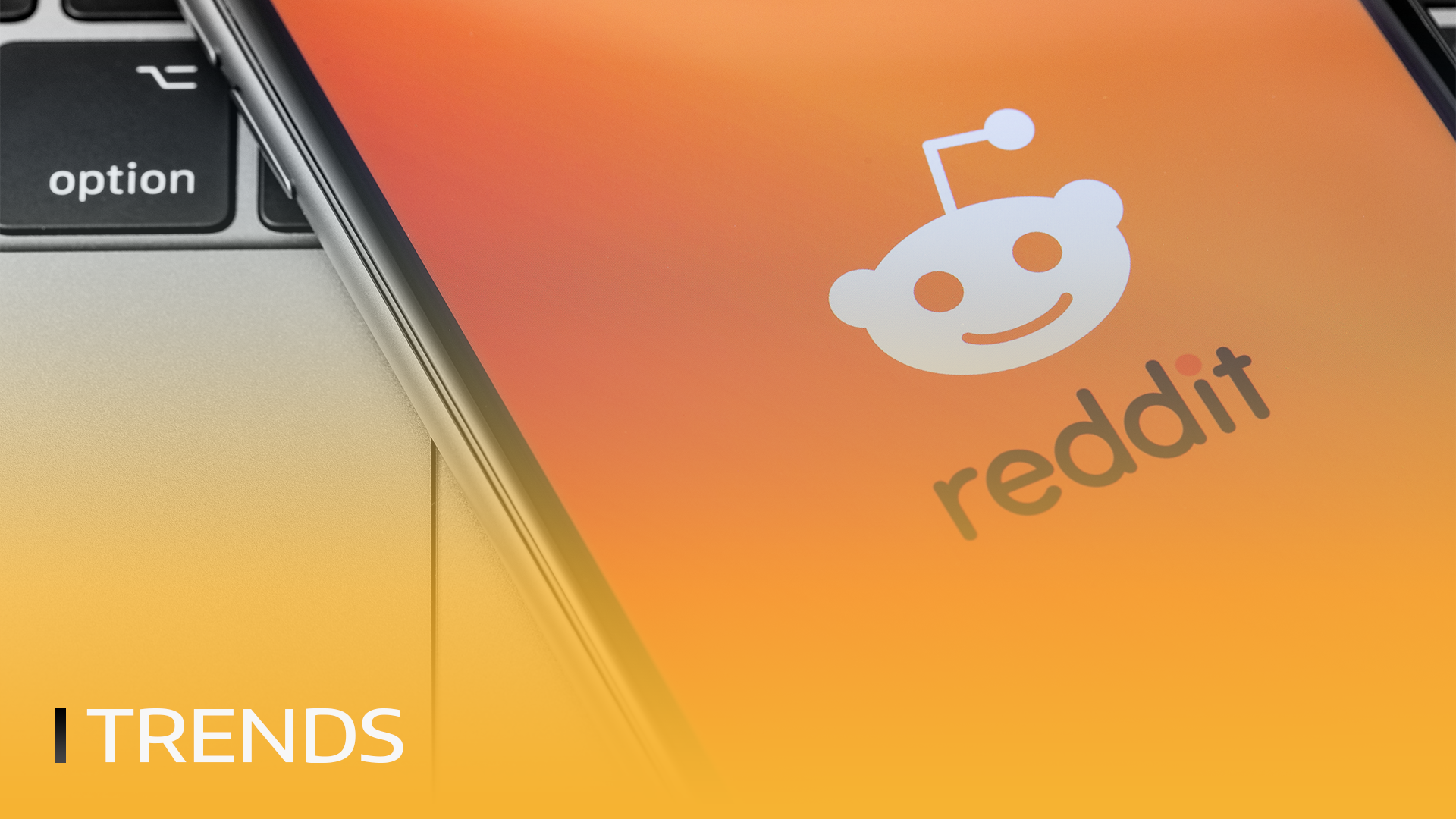 !Reddit