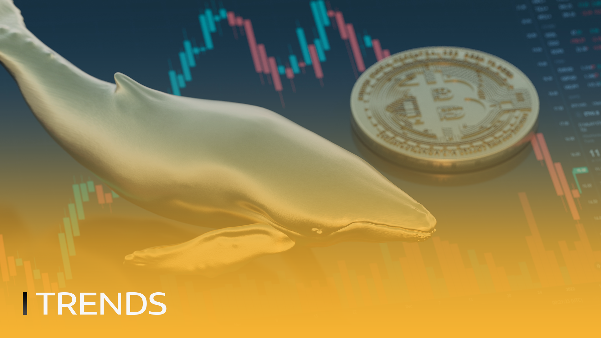BITmarkets | Kto sú kryptografické veľryby na trhu?
