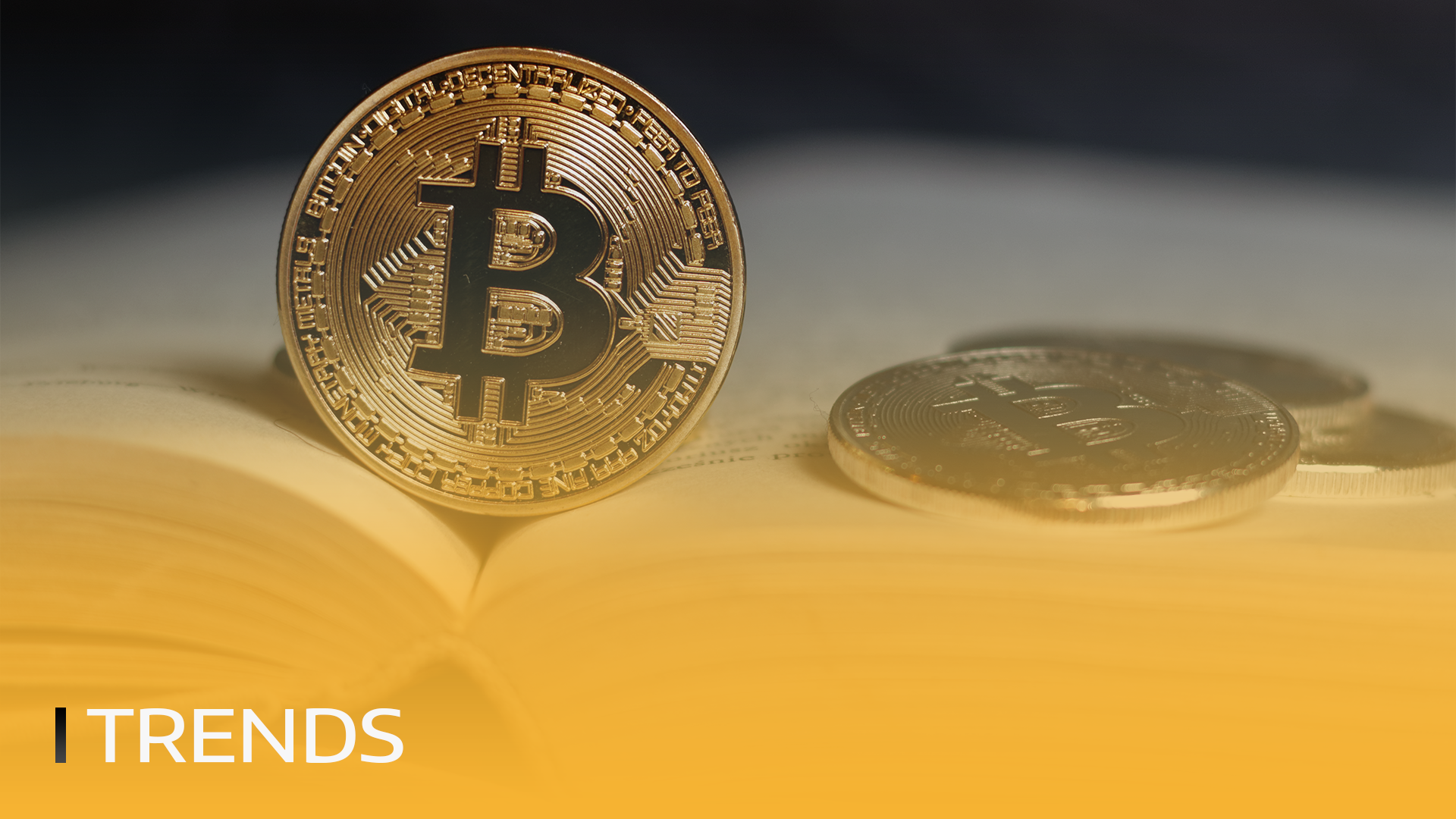 BITmarkets | ABD'deki Büyük Üniversitelerde İlk Bitcoin Sınıfı
