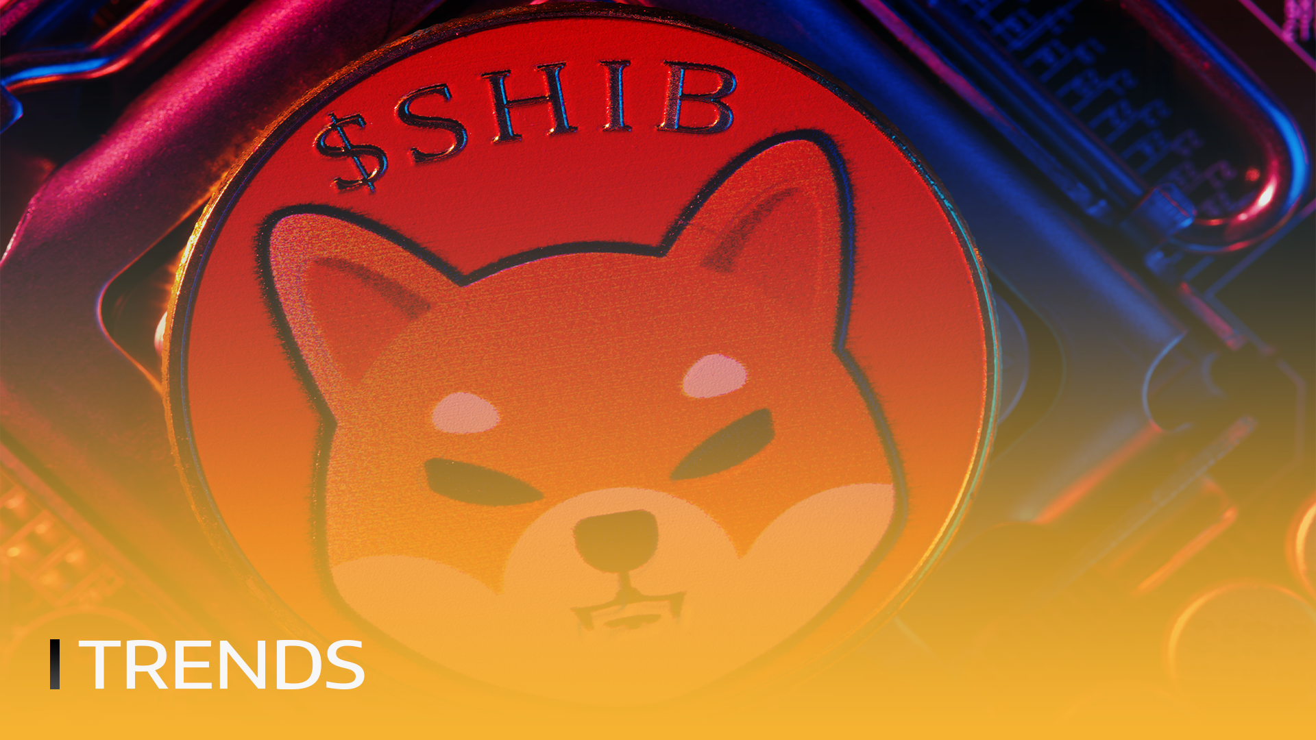 !!!!!SHIB