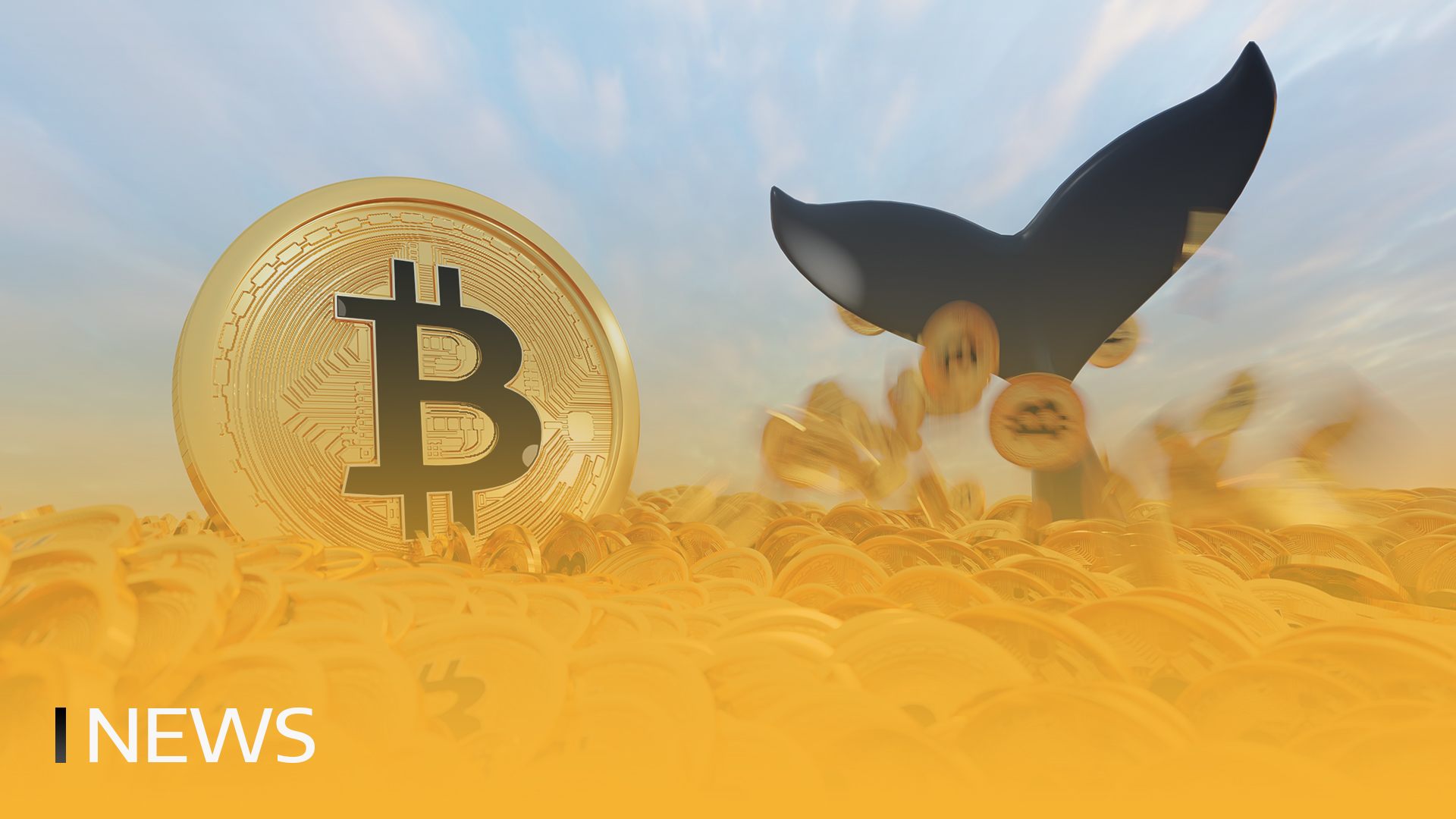 Transakcije Bitcoin Whale padec 40%