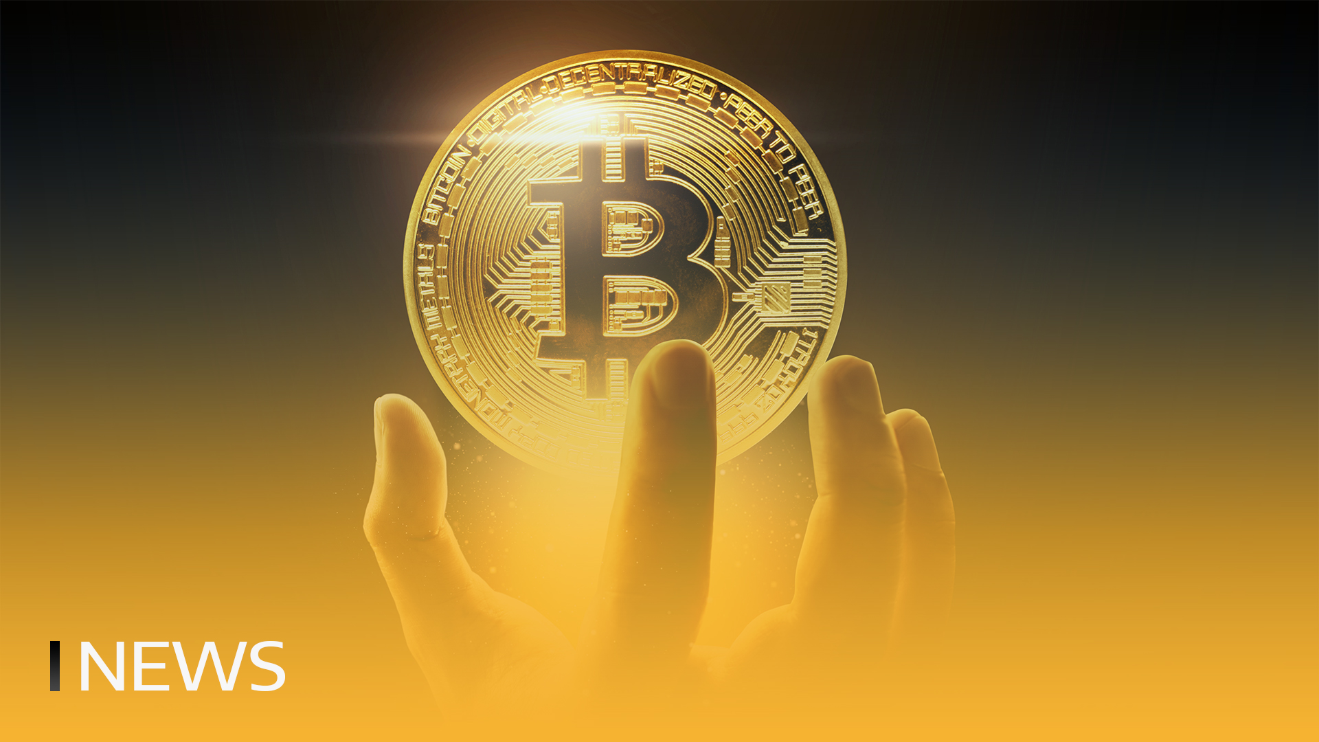 Bitcoin Milyonerleri 2024'te %100 Arttı