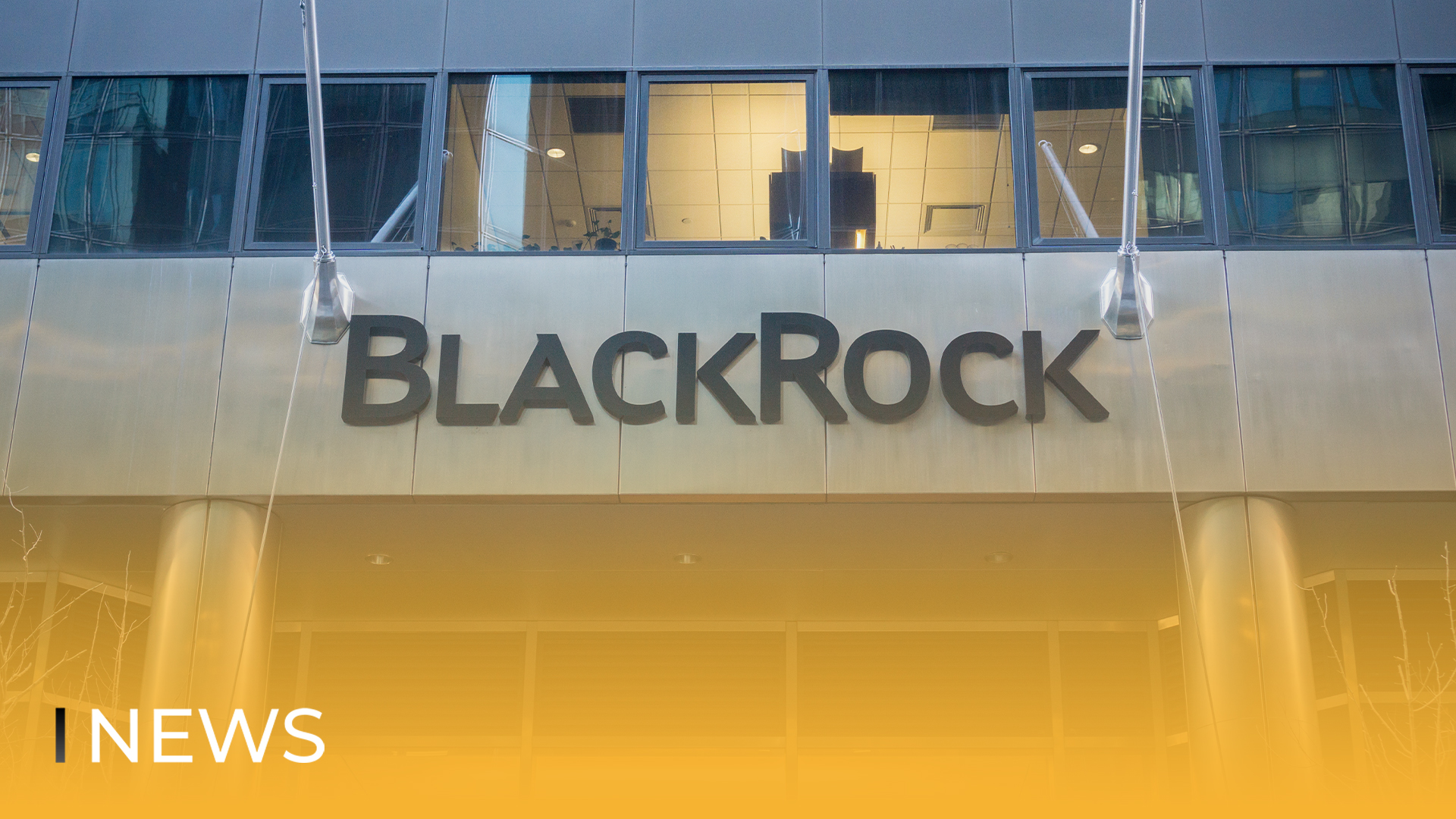 Anonymous Made Allegations Against Yuga Labs & BAYC (1)