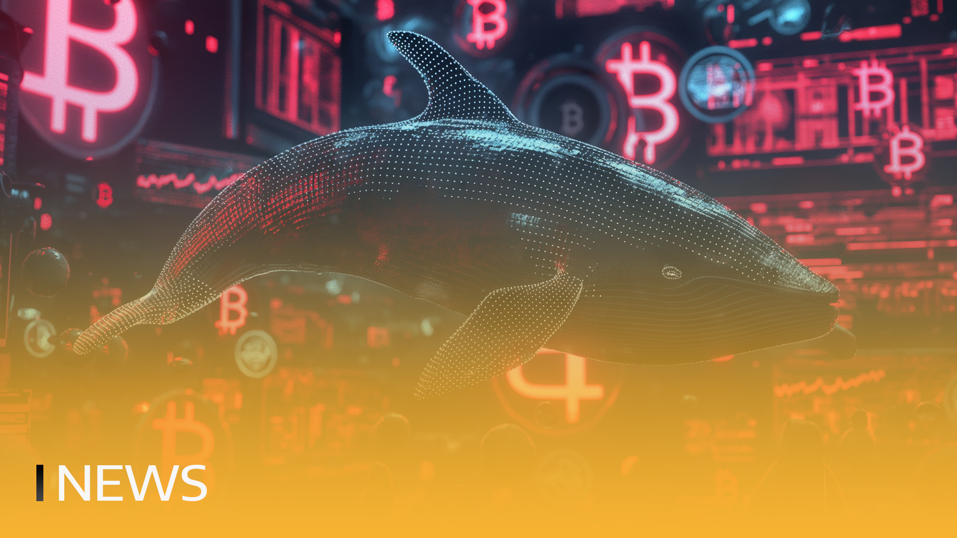 Transacções de Bitcoin Whale abrandam