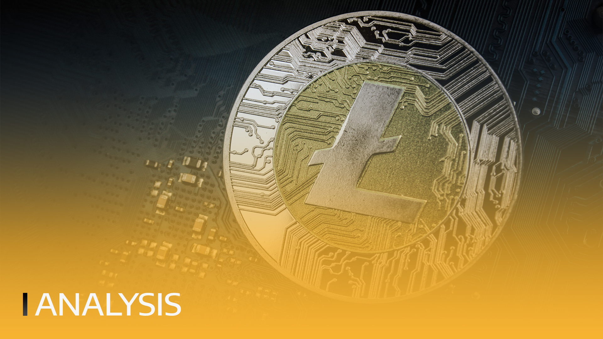 BITmarkets | Litecoin wird noch glänzen