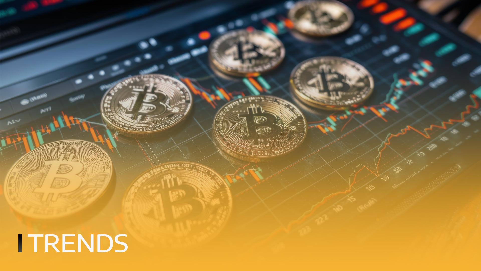 BITmarkets | Bitcoin Wallets Holding $100 Nears Record High