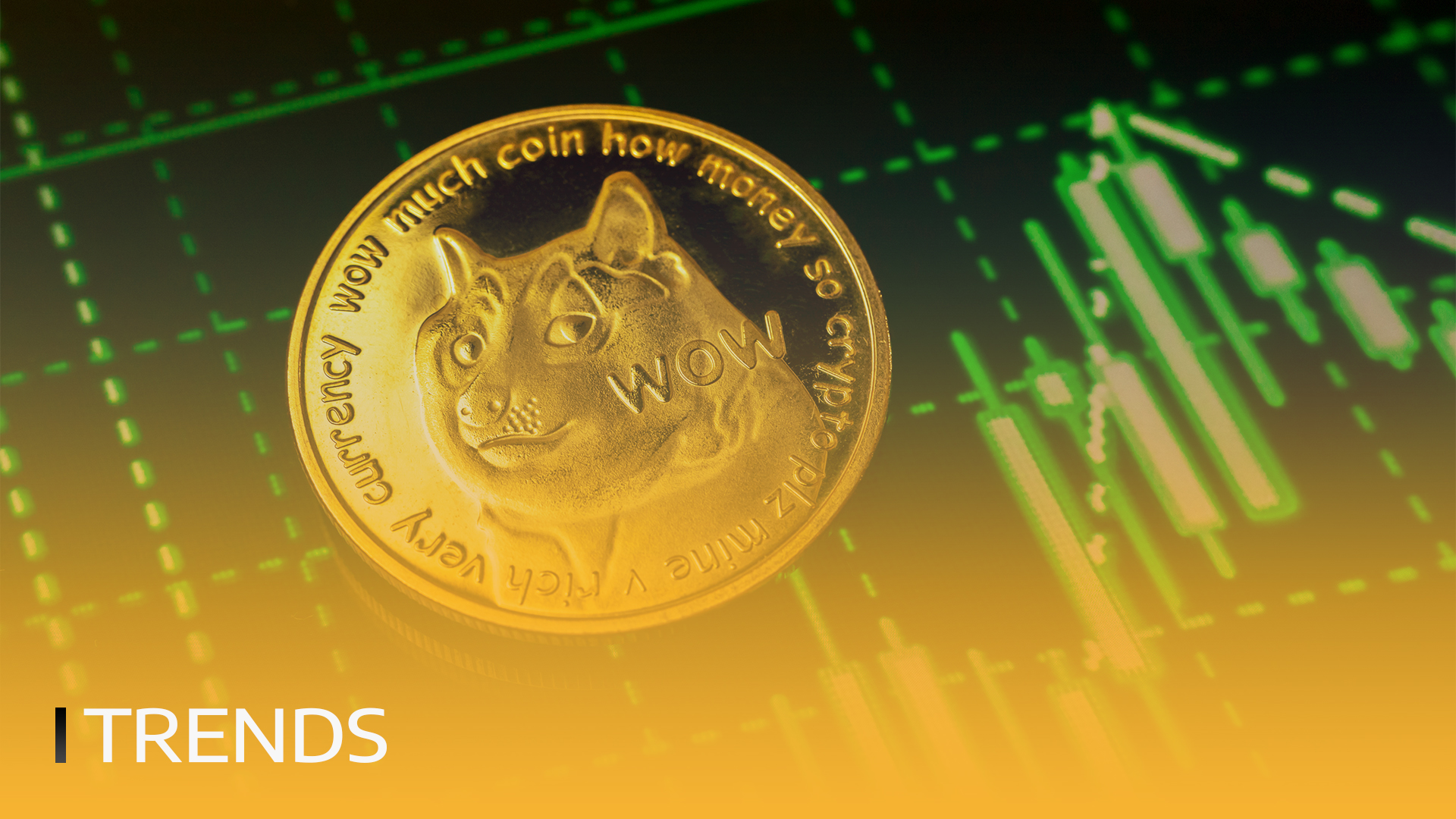BITmarkets | ارتفاع عناوين Dogecoin بنسبة 500% في يوم واحد
