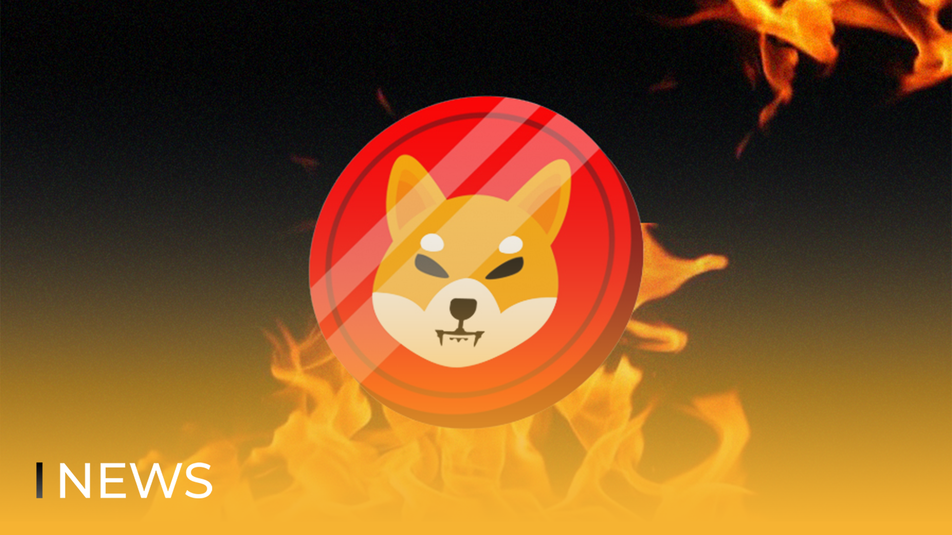 BITmarkets | Shibarium is Almost Here