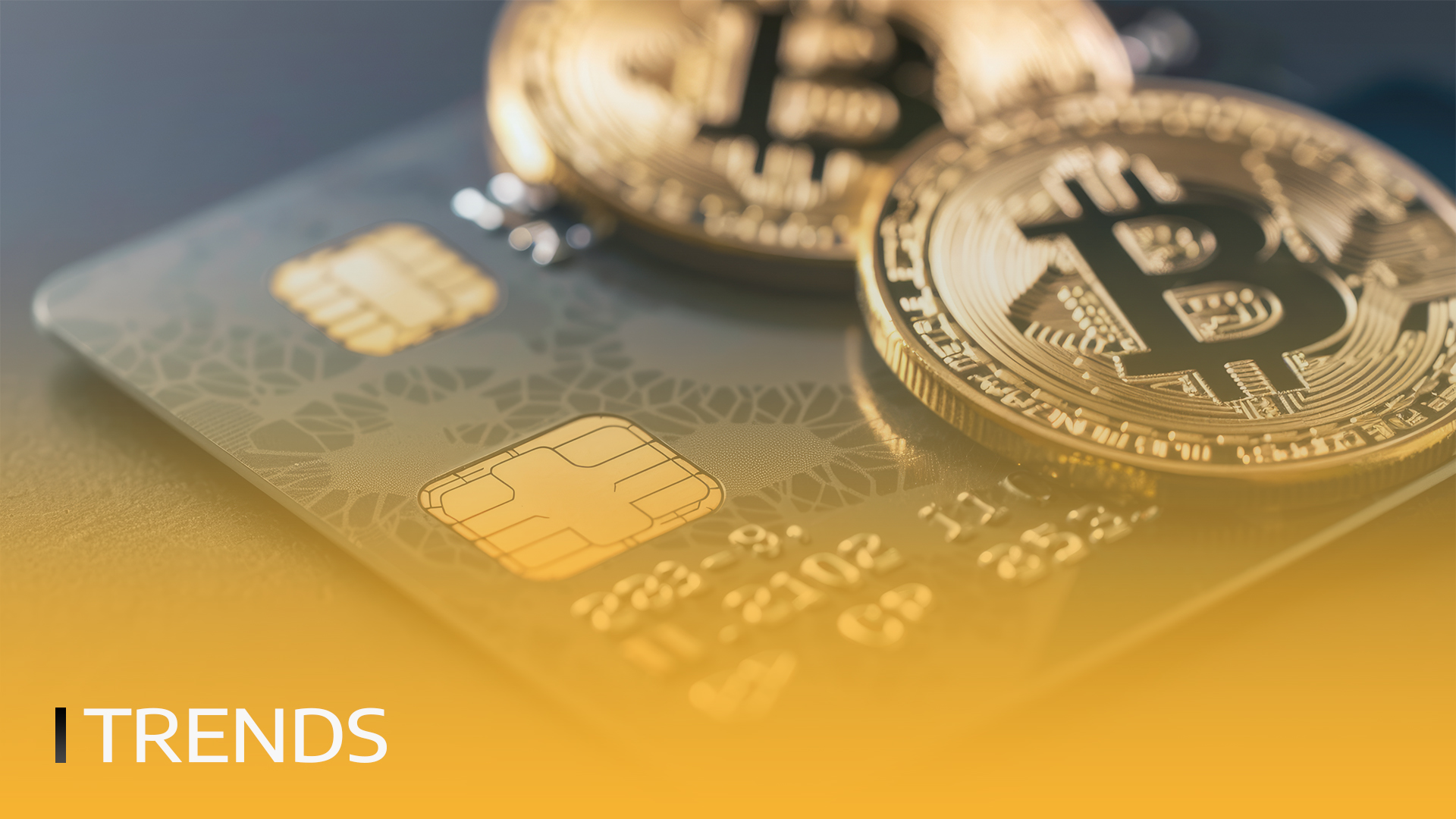 !!cryptotranseurope