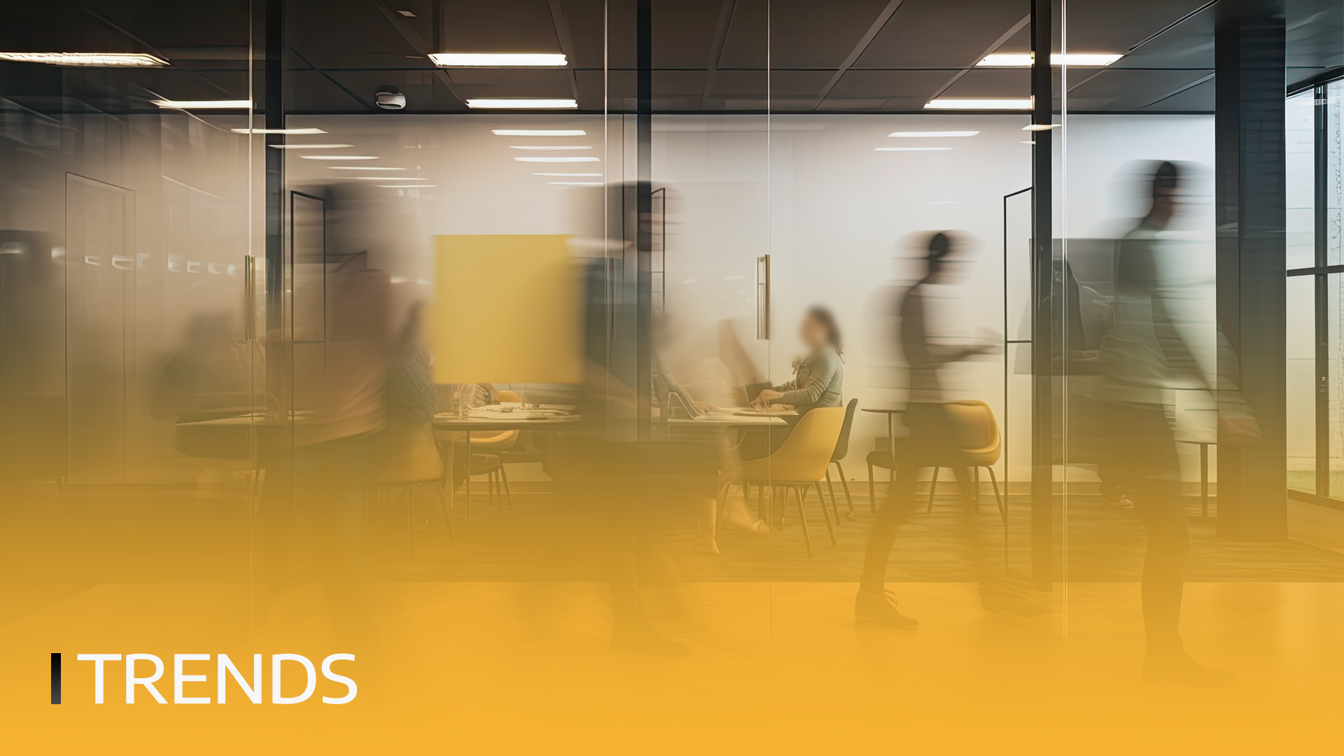 Spain Office Crypto B