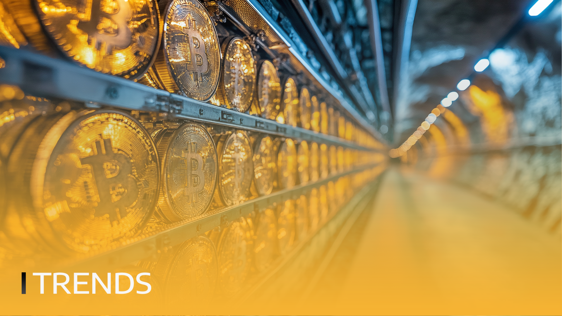 31.10.25.01 31.10.25.01