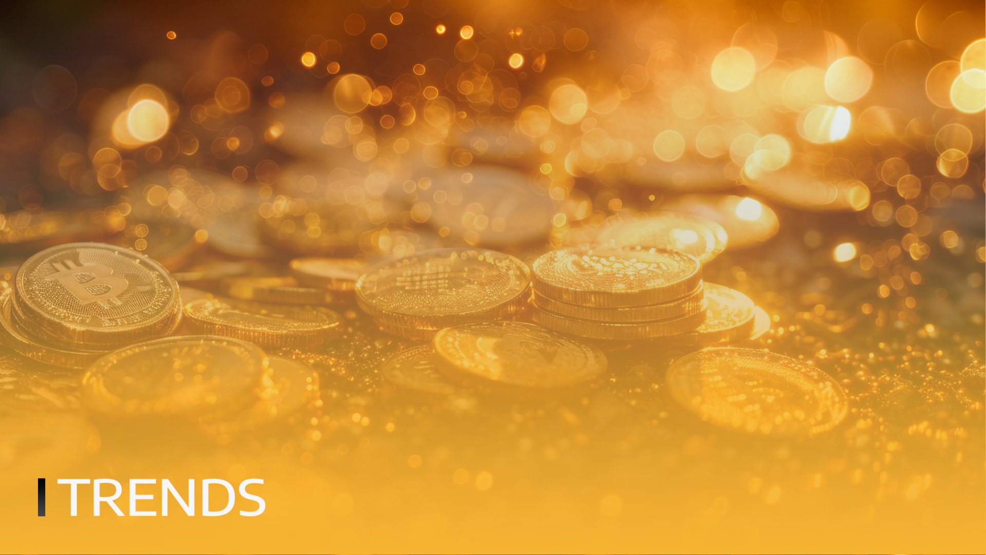 31.10.25.02 31.10.25.02