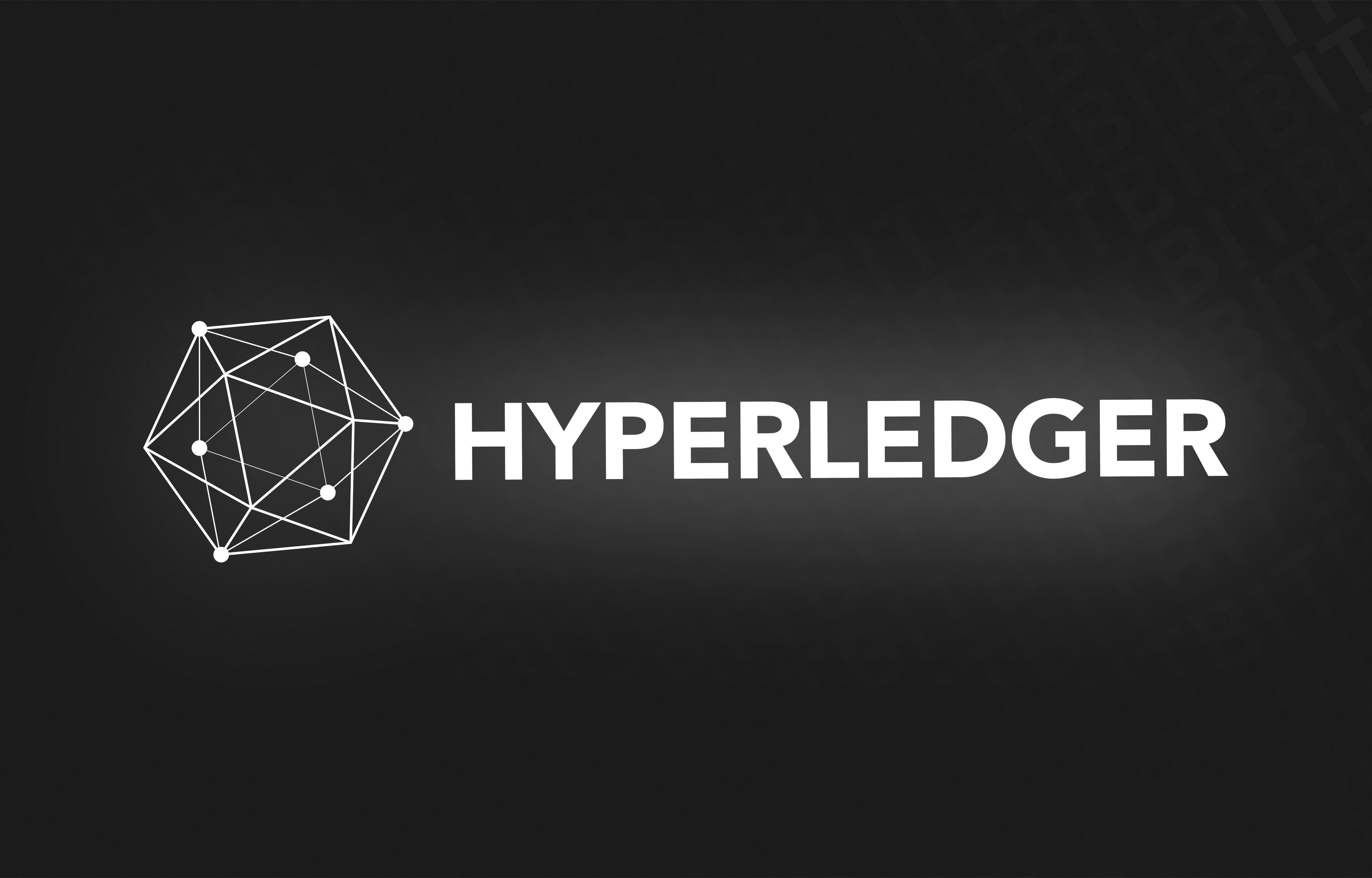 What Is Hyperledger (1)